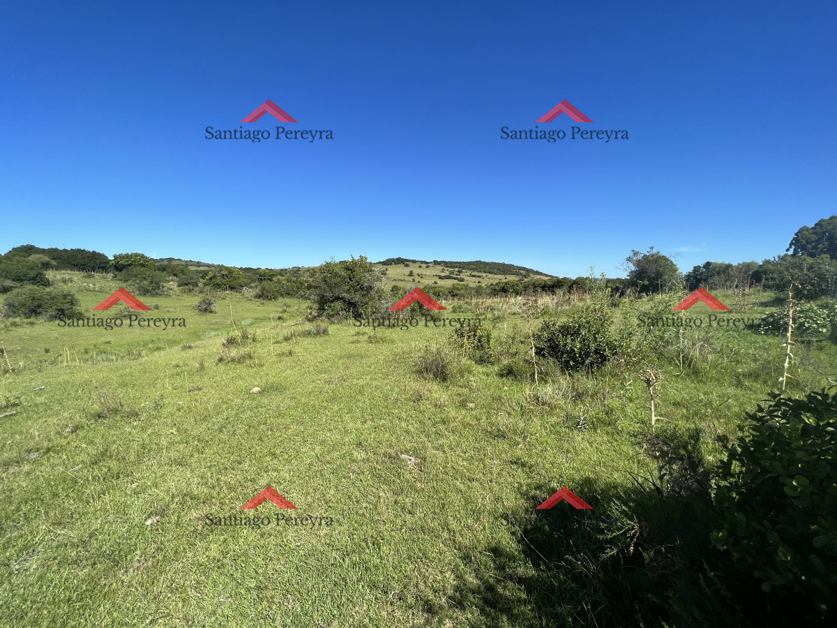Campo en zona Mataojo, Maldonado - GoPunta - Portal Inmobiliario de Punta del Este - Maldonado