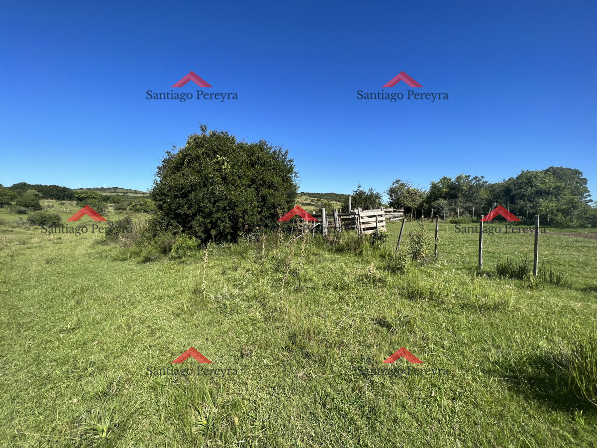 Campo en zona Mataojo, Maldonado - GoPunta - Portal Inmobiliario de Punta del Este - Maldonado