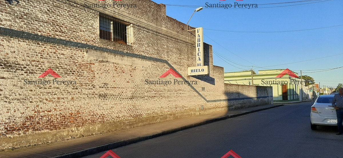Local en Centro San Carlos, Punta del Este — REF 6010