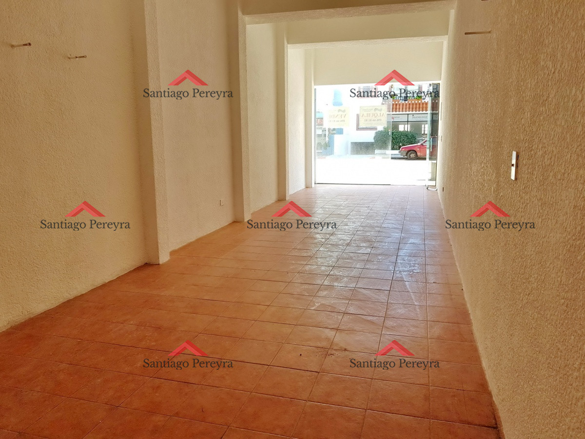 Peninsula - GoPunta - Portal Inmobiliario de Punta del Este - Maldonado