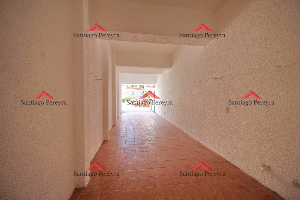 Peninsula - GoPunta - Portal Inmobiliario de Punta del Este - Maldonado