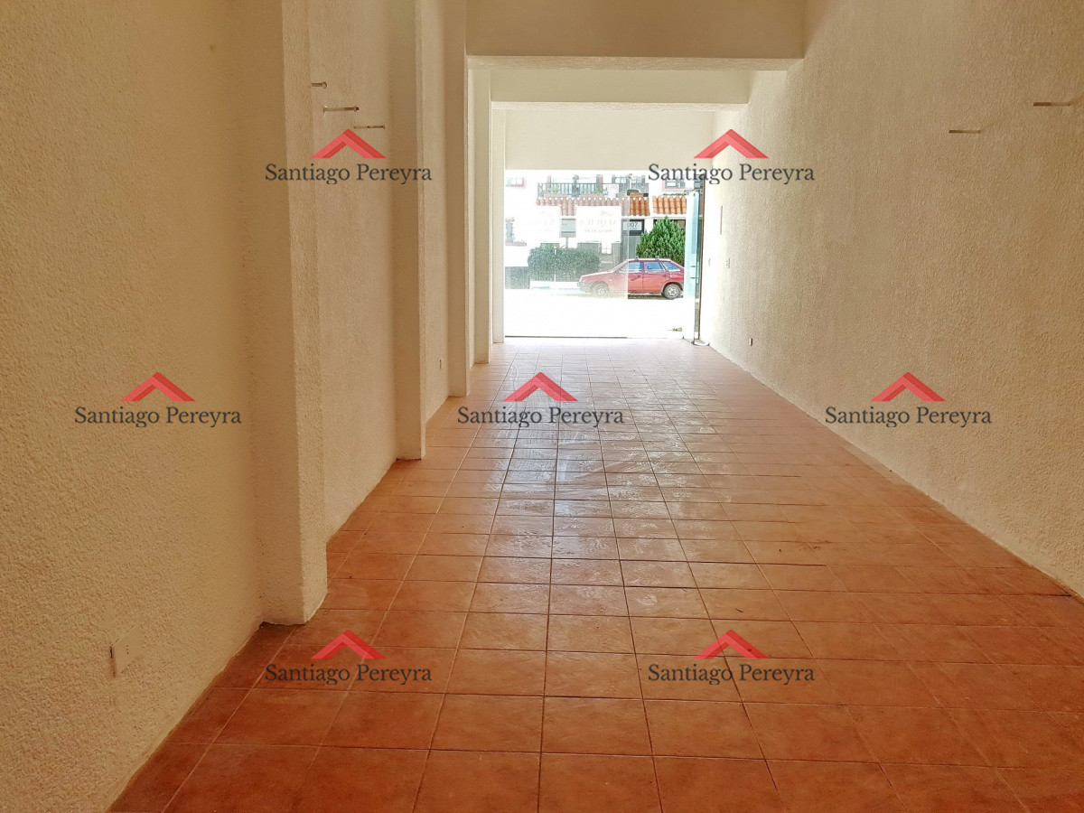 Peninsula - GoPunta - Portal Inmobiliario de Punta del Este - Maldonado