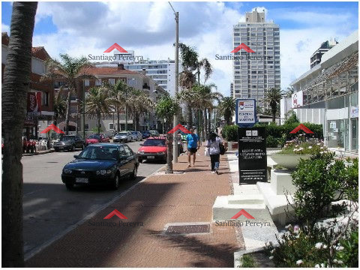 Peninsula - GoPunta - Portal Inmobiliario de Punta del Este - Maldonado