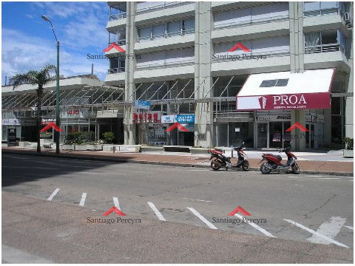 Peninsula - GoPunta - Portal Inmobiliario de Punta del Este - Maldonado