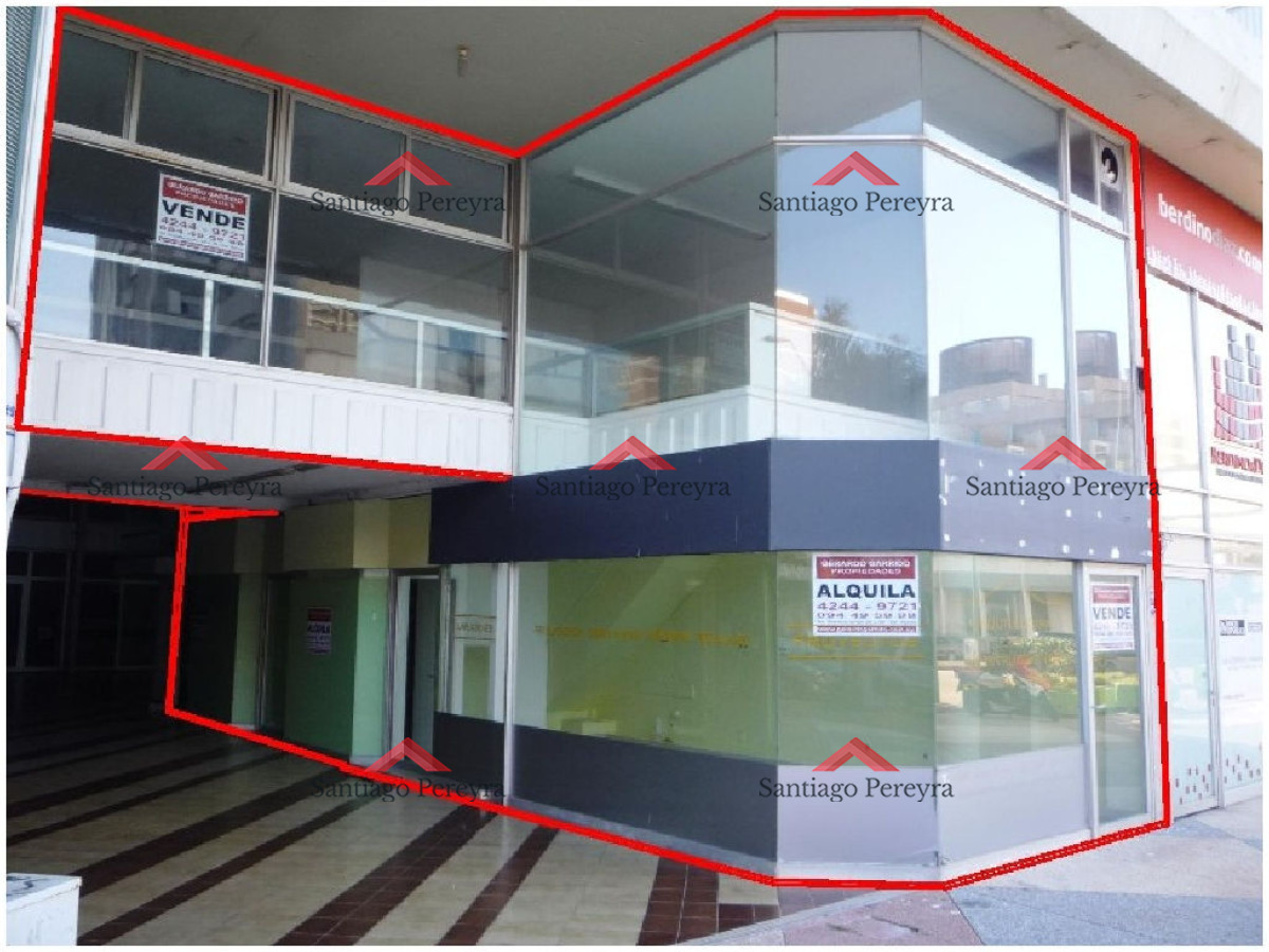 Peninsula - GoPunta - Portal Inmobiliario de Punta del Este - Maldonado
