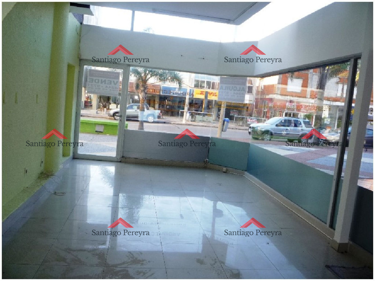 Peninsula - GoPunta - Portal Inmobiliario de Punta del Este - Maldonado