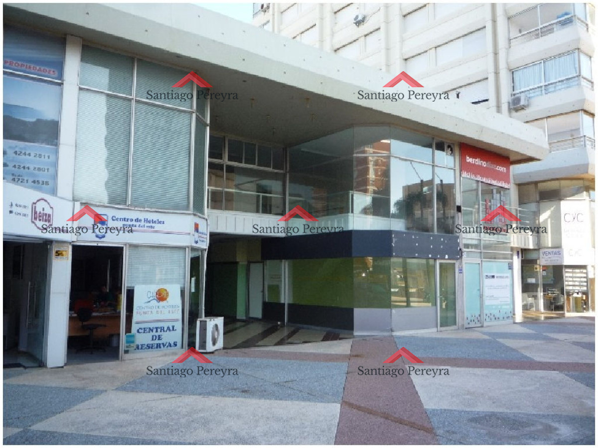 Peninsula - GoPunta - Portal Inmobiliario de Punta del Este - Maldonado