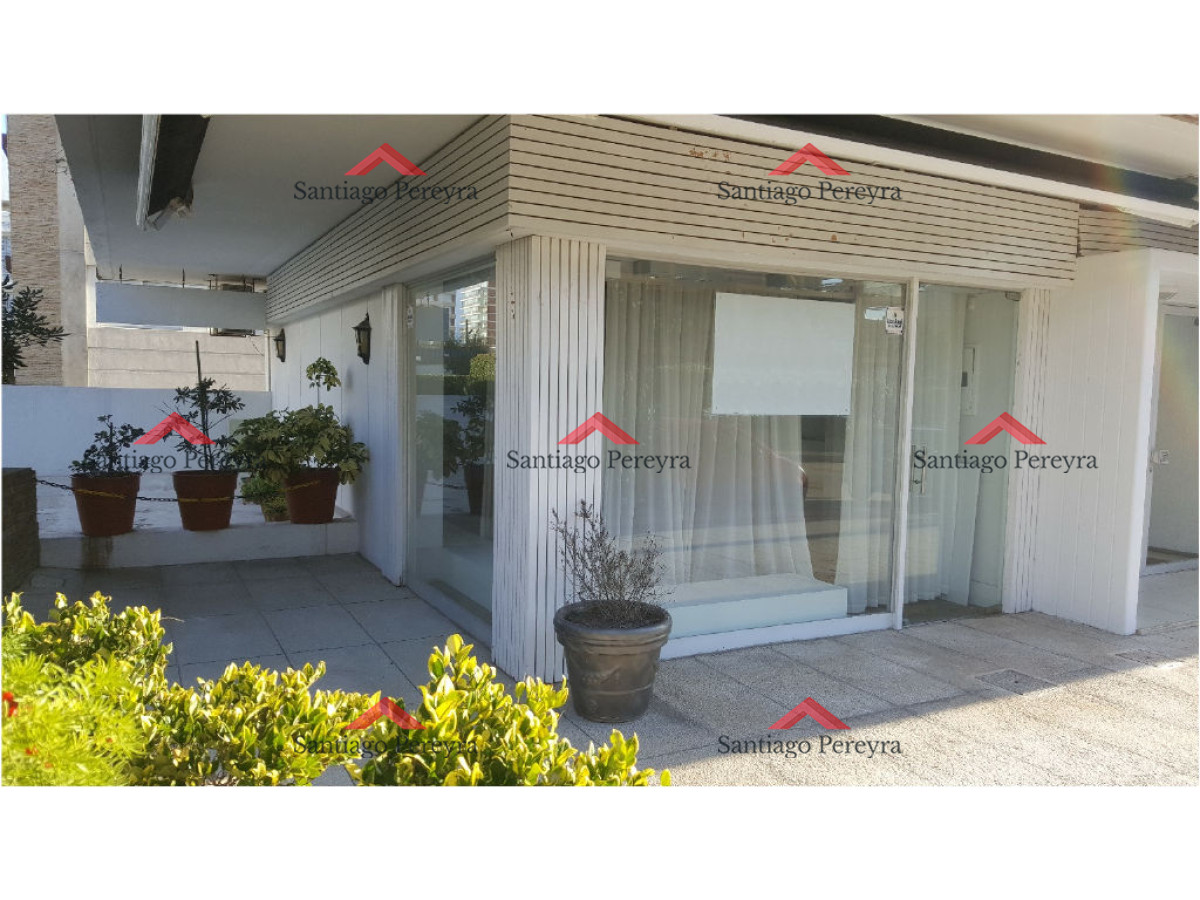 Peninsula - GoPunta - Portal Inmobiliario de Punta del Este - Maldonado