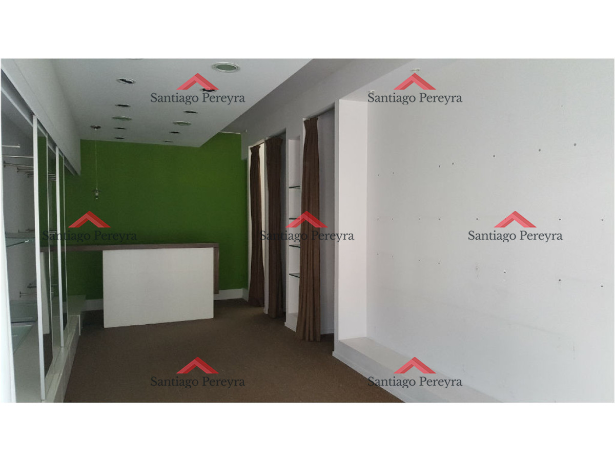 Peninsula - GoPunta - Portal Inmobiliario de Punta del Este - Maldonado