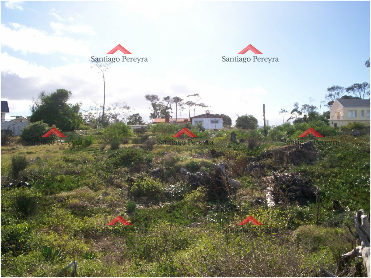 Pinares - GoPunta - Portal Inmobiliario de Punta del Este - Maldonado