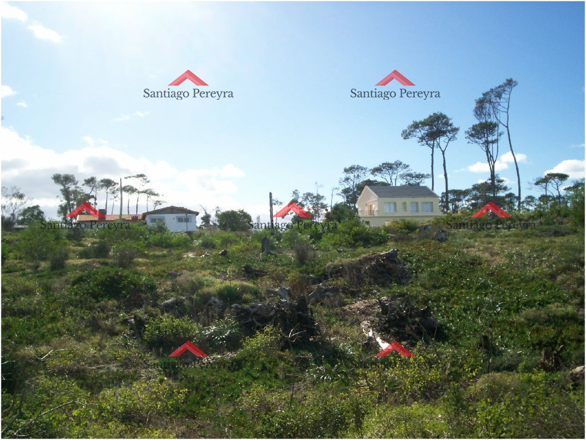 Pinares - GoPunta - Portal Inmobiliario de Punta del Este - Maldonado