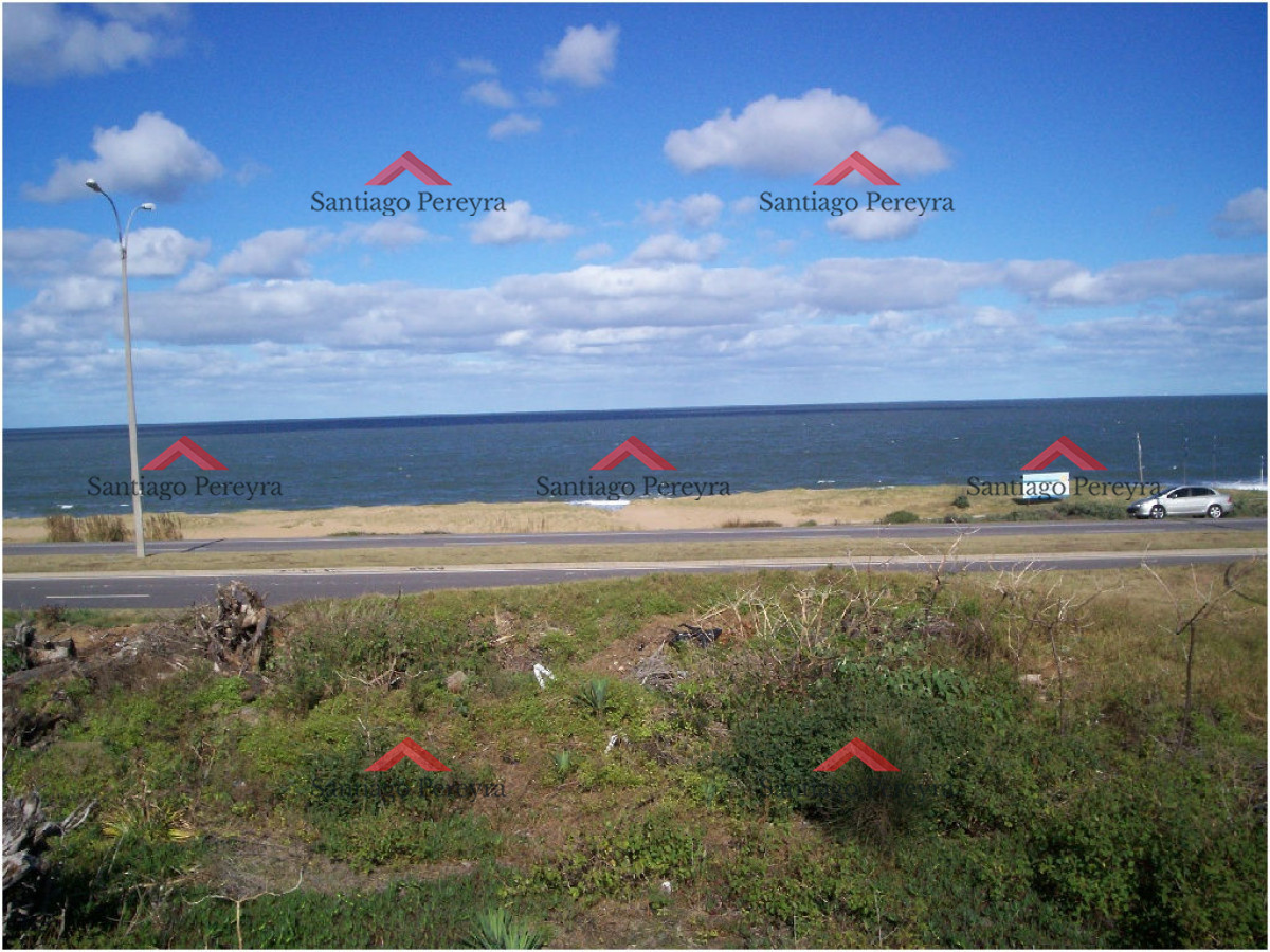 Pinares - GoPunta - Portal Inmobiliario de Punta del Este - Maldonado