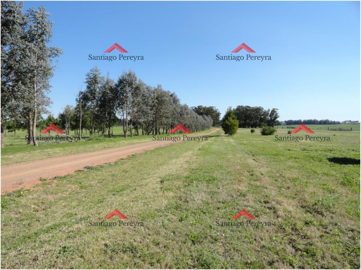 Ruta Interbalnearia - GoPunta - Portal Inmobiliario de Punta del Este - Maldonado