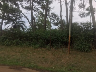 Terreno en Punta del Este, Lugano