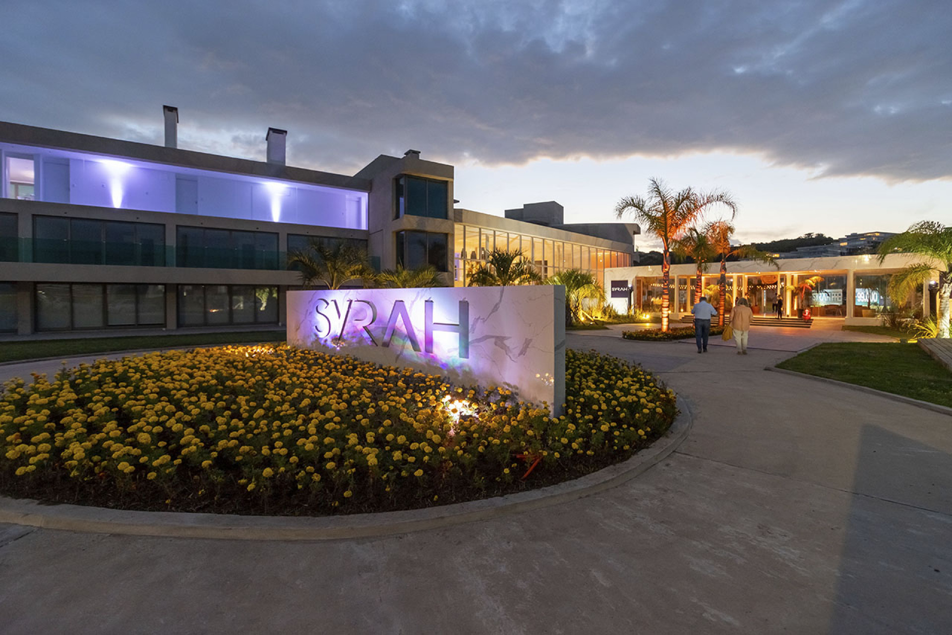 Syrah Premium — imagen 1