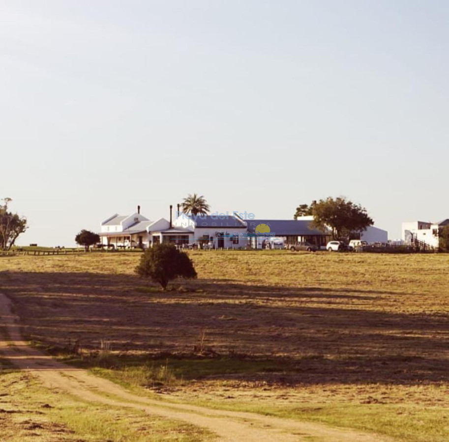 Campo en San Carlos, - GoPunta - Portal Inmobiliario de Punta del Este - Maldonado
