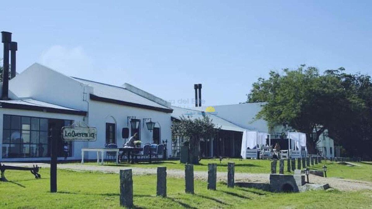 Campo en San Carlos, - GoPunta - Portal Inmobiliario de Punta del Este - Maldonado