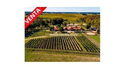 Espectacular Chacra con Viñedo