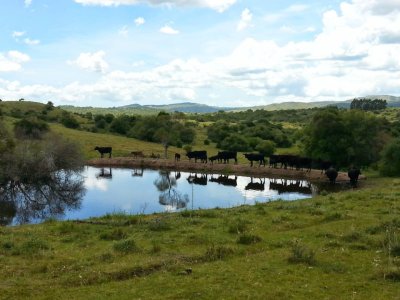 Chacra en Las Cañas , 13ha