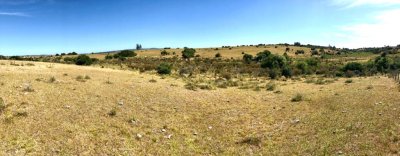Venta en Garzon 2