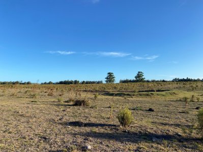 Campo en Venta - La barra