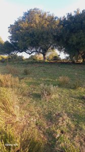 Campo en Garzon