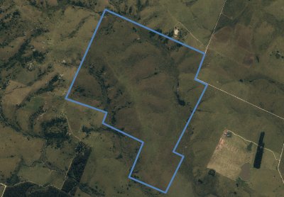 Campo en Garzón - 260 ha