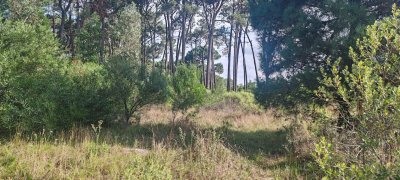 Terreno en BARRA VERDE