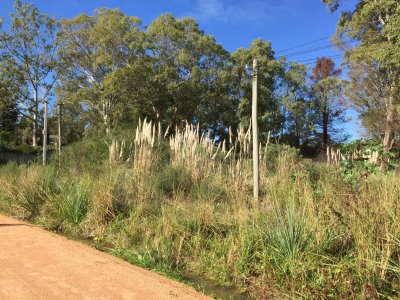 Terreno Jardines de Cordoba