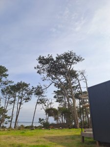 VERANO! CASA EN ALQUILER