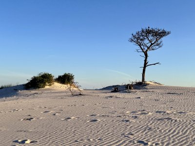VENTA - LOTE EXCELENTE UBICACIÓN - FRENTE AL MAR - PUNTA PINAR - EL PINAR