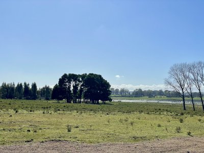 VENTA - LOTEO - BELLO HORIZONTE