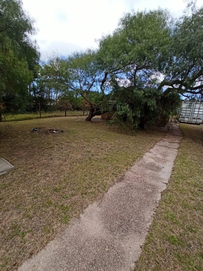 Sobre el medano, Pinar sur!!