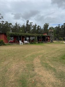 Hermosa chacra en Ruta 12 de 6 has y media con casa , tajamar, bosque cerca de todo y con el encanto de vivir en la naturaleza 