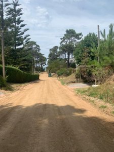 OPORTUNIDAD divino terreno en venta en Montoya,  Punta del Este , a tres cuadras del mar alto, arbolado 