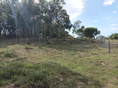 Hermoso terreno a 2 cuadras del mar en un entorno maravilloso lleno de naturaleza en Pueblo San Vicente , Jose Ignacio