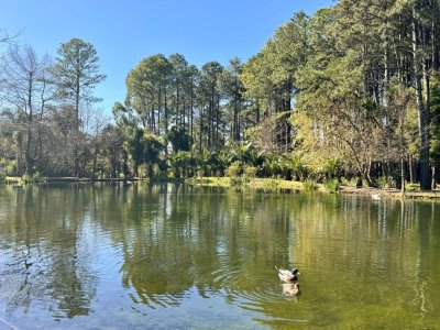 Venta apartamento de 3 dormitorios y cochera en Barrio Privado.