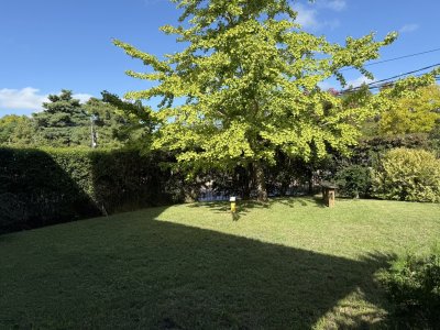 Casa Ph en venta de 3 dormitorios, 2 garajes y jardín de uso exclusivo, en Carrasco