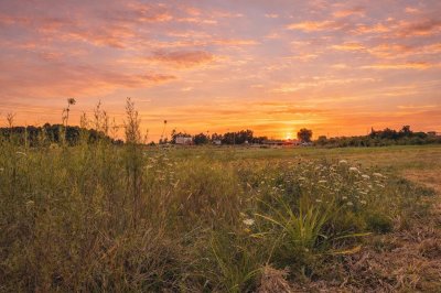 Venta Terreno de 3,5 hectáreas sobre Ruta 8 