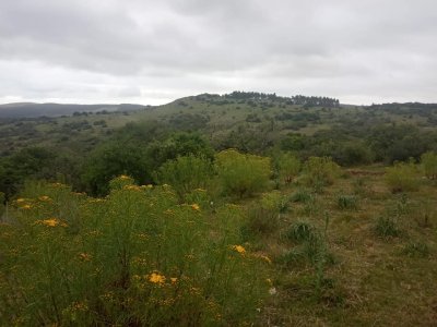 CHACRA EN VENTA SOBRE RUTA 12 A 3KM DE PUEBLO EDEN 