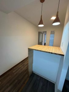 Alquiler Apartamento 1 Dormitorio Punta Carretas con balcon