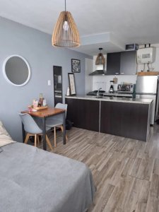 Alquiler Apartamento Monoambiente Buceo