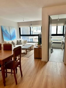 Alquiler Apartamento 1 Dormitorio Malvin