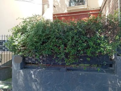 Alquiler Casa semiamoblada 4 Dormitorios La Comercial