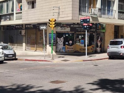 Venta con Renta Local Comercial Centro Ideal Inversión