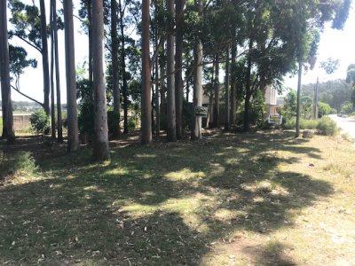 1600 mts en la Fortuna, Maldonado. 4 terrenos Juntos o por separado. 