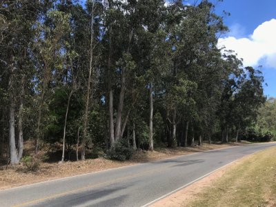 Hermoso terreno sobre importante Avenida