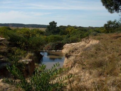 Hermoso terreno en Tajamares de la Pedrera