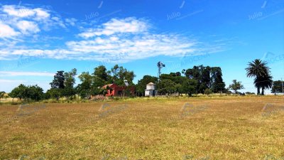 Chacra 5 Ha - Agrícola - Colonia