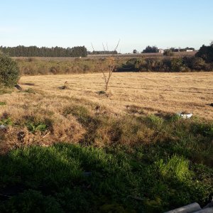 Chacra Agrícola en Montevideo